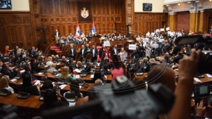 Nova poslanička grupa